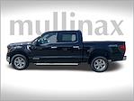 2024 Ford F-150 SuperCrew Cab 4x4 Pickup for sale #A47201M - photo 12