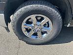 2024 Ford F-150 SuperCrew Cab 4x4 Pickup for sale #A47201M - photo 13