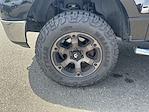2005 Ford F-150 SuperCrew Cab 4x4 Pickup for sale #B22969 - photo 14