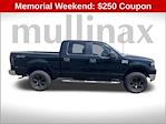2005 Ford F-150 SuperCrew Cab 4x4 Pickup for sale #B22969 - photo 4
