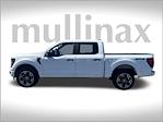2024 Ford F-150 SuperCrew Cab 4x4 Pickup for sale #D58577M - photo 14