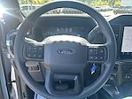 2024 Ford F-150 SuperCrew Cab 4x4 Pickup for sale #D58577M - photo 20