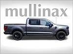 2025 Ford F-150 SuperCrew Cab 4x4 Pickup for sale #FA55795H - photo 3