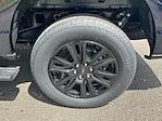 New 2025 Ford F-150 Platinum SuperCrew Cab 4x4 Pickup for sale #FA98289H - photo 22