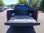 2025 Ford F-150 SuperCrew Cab 4x4 Pickup for sale #FB09648 - photo 20