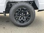 2024 Ford F-150 SuperCrew Cab 4x4 Pickup for sale #FB47664H - photo 11