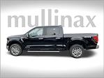 2024 Ford F-150 SuperCrew Cab 4x4 Pickup for sale #FB78596H - photo 10