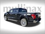 2024 Ford F-150 SuperCrew Cab 4x4 Pickup for sale #FB80899H - photo 9