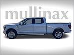 2025 Ford F-150 SuperCrew Cab 4WD Pickup for sale #FB95046H - photo 6