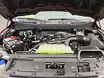 2025 Ford F-150 SuperCrew Cab 4x4 Pickup for sale #FD61074 - photo 28