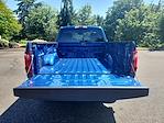 2025 Ford F-150 Regular Cab 4x4 Pickup for sale #FD64433 - photo 20