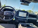 2025 Ford F-150 Regular Cab 4x2 Pickup for sale #FD69900 - photo 12