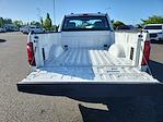 2025 Ford F-150 Regular Cab 4x2 Pickup for sale #FD69900 - photo 20