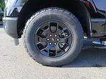 2025 Ford F-150 SuperCrew Cab 4WD Pickup for sale #FE00102 - photo 21