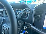 2025 Ford F-150 SuperCrew Cab 4x4 Pickup for sale #FE14085 - photo 23
