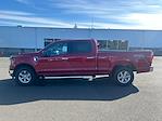 2025 Ford F-150 SuperCrew Cab 4x4 Pickup for sale #FE14085 - photo 7