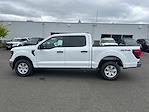 New 2025 Ford F-150 XL SuperCrew Cab 4x4 Pickup for sale #FE22091 - photo 6