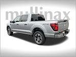 2024 Ford F-150 SuperCrew Cab 4x4 Pickup for sale #FE45137 - photo 9