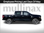 2024 Ford F-150 SuperCrew Cab 4x4 Pickup for sale #FE45619 - photo 3