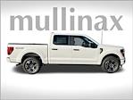 2024 Ford F-150 SuperCrew Cab 4x4 Pickup for sale #FE64121 - photo 3