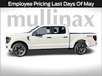 2024 Ford F-150 SuperCrew Cab 4x4 Pickup for sale #FE64121 - photo 9