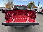 2024 Ford F-150 SuperCrew Cab 4x4 Pickup for sale #FE99359 - photo 28
