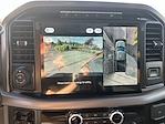 2024 Ford F-150 SuperCrew Cab 4x4 Pickup for sale #FF09954 - photo 21