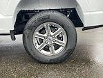 2024 Ford F-150 SuperCrew Cab 4x4 Pickup for sale #FF39356 - photo 11
