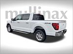 2024 Ford F-150 SuperCrew Cab 4x4 Pickup for sale #FF39356 - photo 9