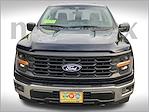 2025 Ford F-150 Regular Cab 4WD Pickup for sale #FF47944 - photo 15