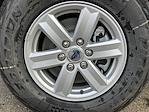 2025 Ford F-150 Regular Cab 4WD Pickup for sale #FF47944 - photo 16