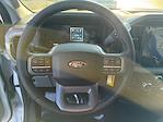 2025 Ford F-150 SuperCrew Cab 4WD Pickup for sale #FF53161 - photo 17