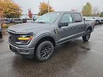 2025 Ford F-150 SuperCrew Cab 4WD Pickup for sale #FF59860 - photo 4