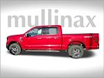 2024 Ford F-150 SuperCrew Cab 4x4 Pickup for sale #FF62265 - photo 8