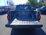 2025 Ford F-150 Lightning SuperCrew Cab AWD Pickup for sale #FG05054E - photo 23