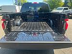 2025 Ford F-150 Lightning SuperCrew Cab AWD Pickup for sale #FG14537E - photo 22