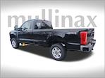 2025 Ford F-250 Regular Cab 4x4 Pickup for sale #HC48912 - photo 9