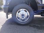 2025 Ford F-350 Crew Cab DRW 4x4 Pickup for sale #HC60269 - photo 11