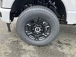 2025 Ford F-250 Regular Cab 4x4 Pickup for sale #HC63223 - photo 11