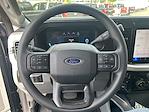 2025 Ford F-250 Crew Cab 4x4 Pickup for sale #HC90839 - photo 14