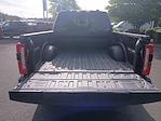 2025 Ford F-350 Crew Cab SRW 4x4 Pickup for sale #HD15061 - photo 23