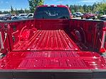 2025 Ford F-350 Crew Cab SRW 4x4 Pickup for sale #HD20144 - photo 22