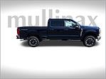 2025 Ford F-350 Crew Cab SRW 4x4 Pickup for sale #HE05967 - photo 3