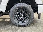 2024 Ford F-350 Crew Cab SRW 4x4 Pickup for sale #HF75348 - photo 11