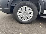 New 2025 Ford Transit 250 High Roof Empty Cargo Van for sale #RA96886 - photo 17