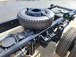 2024 Chevrolet Silverado 5500 Crew Cab DRW 4WD Cab Chassis for sale #SCL240487 - photo 21