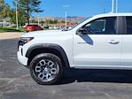 2024 Chevrolet Colorado Crew Cab 4WD Pickup for sale #SCL240776 - photo 3