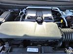 2024 Chevrolet Colorado Crew Cab 4WD Pickup for sale #SCL240776 - photo 25