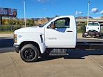 2024 Chevrolet Silverado 5500 Regular Cab DRW 2WD Cab Chassis for sale #SCL240841 - photo 3