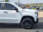 2022 Chevrolet Silverado 1500 LTD Crew Cab 4WD Pickup for sale #SCL250048B - photo 8